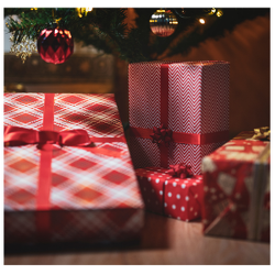 One Christmas Gift for an adult